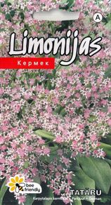 (S) German Statice seeds 0.1g (approx. 100 seeds) (430109)