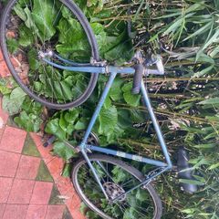 Vintage Raleigh road bike