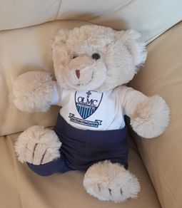 teddy - light-brown fur