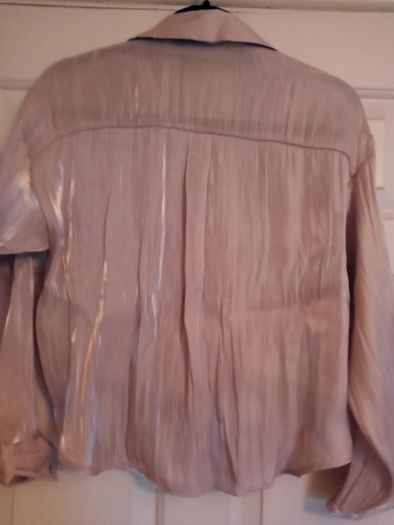 Zara blouse