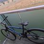 bike for adults Image 5