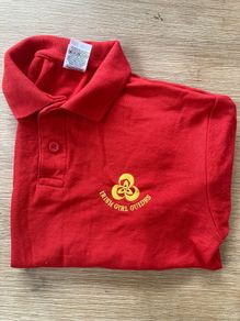 ladybird / irish girl guides uniform