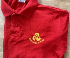 ladybird / irish girl guides uniform