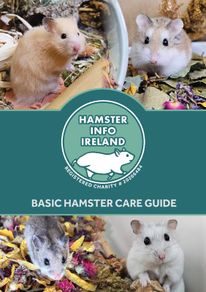Hamster Care Guide
