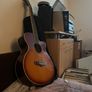tanglewood Image 3