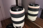Canon Ef 70-300 F4-5.6 L Is Usm