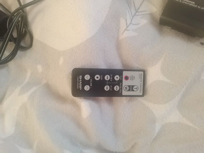 sharp camcorder