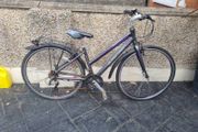 bike  needs fixing