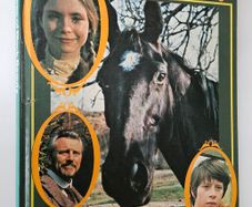 Black Beauty Annual - Vintage TV Series Annual