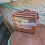 bird cage Image 2