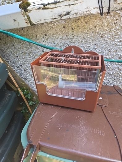 bird cage