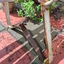 Old Garden Bench Image 9