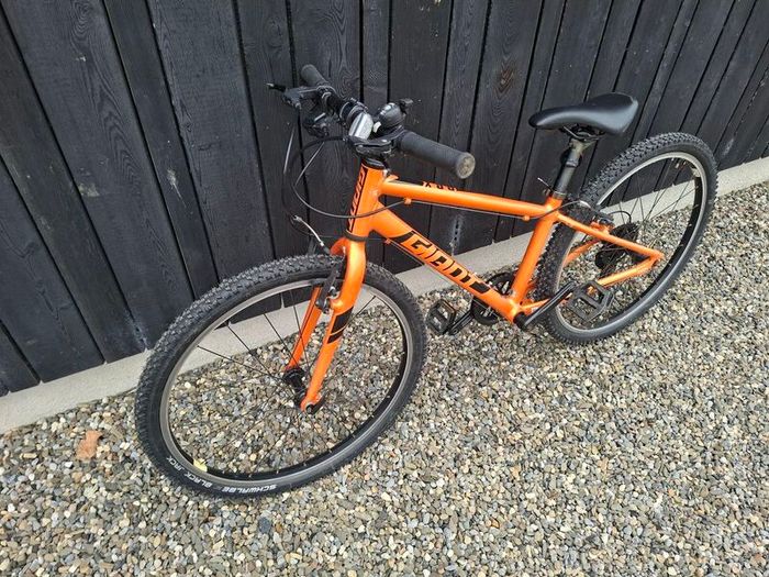 Giant ARX 24 inch kids bike