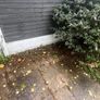 Gardening work Image 7