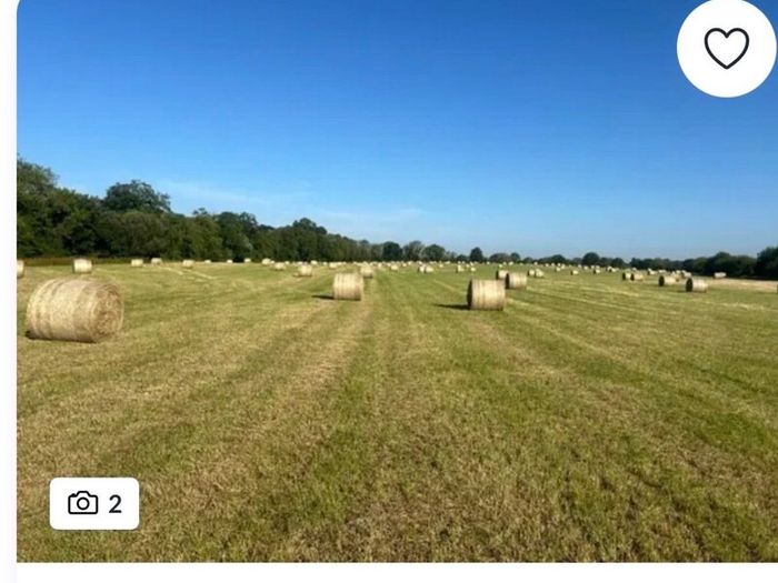 Hay for sale