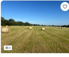 Hay for sale