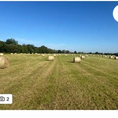 Hay for sale
