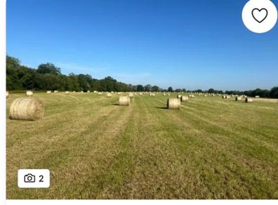 Hay for sale