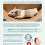 Hamster Care Guide Image 8