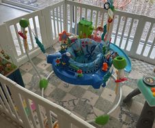 Baby Einstein bouncer