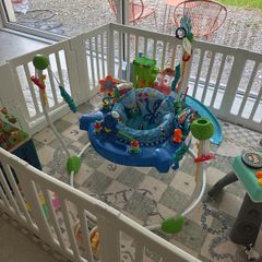 Baby Einstein bouncer