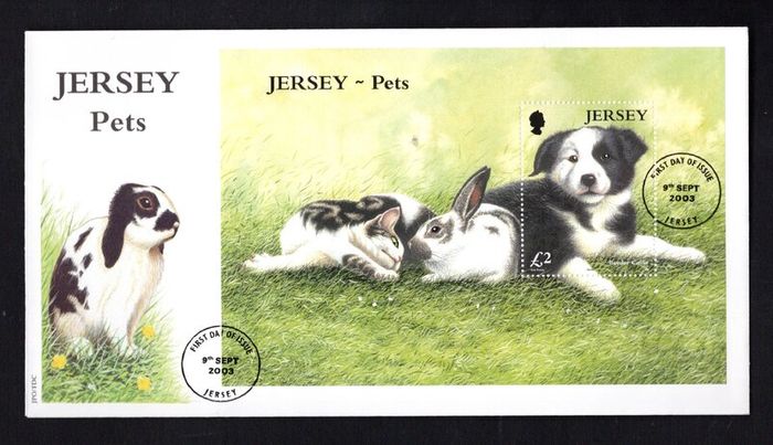 2003 Jersey Pets Border Collie (Canis lupus familiaris) Commemorative Stamp Miniature Sheet First Day Cover (FDC)