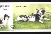 2003 Jersey Pets Border Collie (Canis lupus familiaris) Commemorative Stamp Miniature Sheet First Day Cover (FDC)