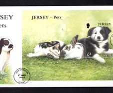 2003 Jersey Pets Border Collie (Canis lupus familiaris) Commemorative Stamp Miniature Sheet First Day Cover (FDC)