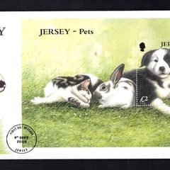 2003 Jersey Pets Border Collie (Canis lupus familiaris) Commemorative Stamp Miniature Sheet First Day Cover (FDC)