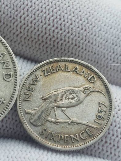 new Zealand silver