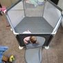 Play Pen Good Condition Image 3