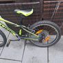 cube race 200 Image 7