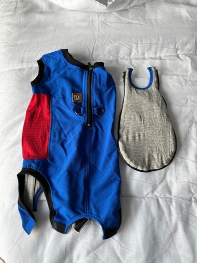 Dog surgery suit