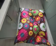 Bean bag
