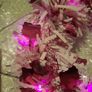 pink hello kitty light up wreath Image 3