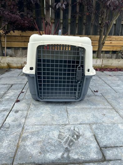 Dog transport box