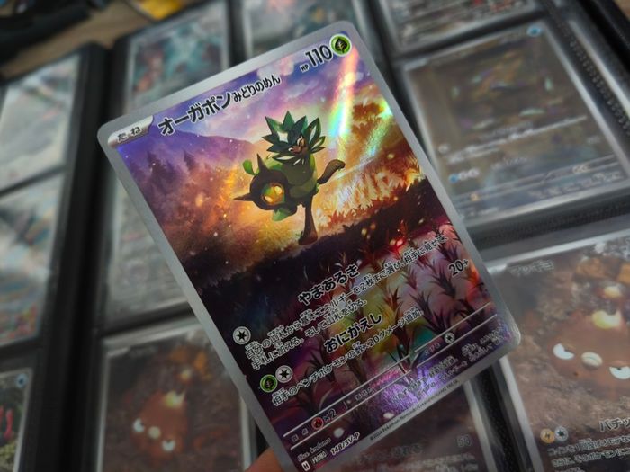 Teal Mask Ogerpon !  Scarlet & Violet Promo ! 2024 ! Japaense Pokemon Card !
