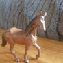Horses Image 6