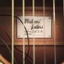 semi acoustic guitar (fishman pickup isys+) Image 3