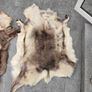 rug Image 4