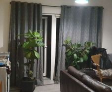 drapes