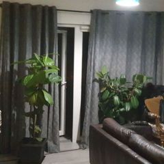 drapes