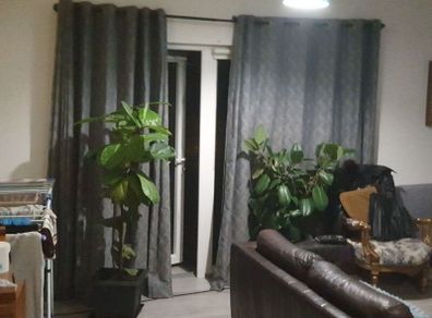drapes