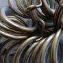 Curtain Rings Image 2