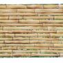 Bamboo Style PVC Wall Panels  Natural & Stylish D Image 4