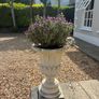 Garden pots Image 6