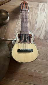 Charango Instrument