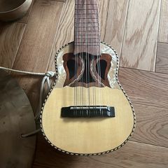 Charango Instrument