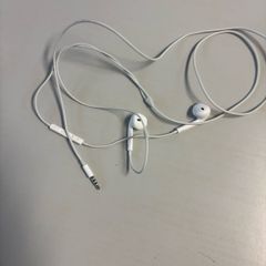 Apple 3.5mm earphone