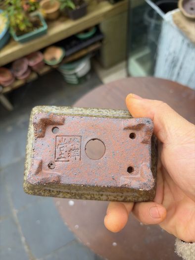 bonsai pot